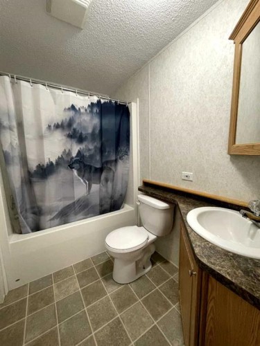 18 Dragonfly Crescent, High Level, AB - Indoor Photo Showing Bathroom