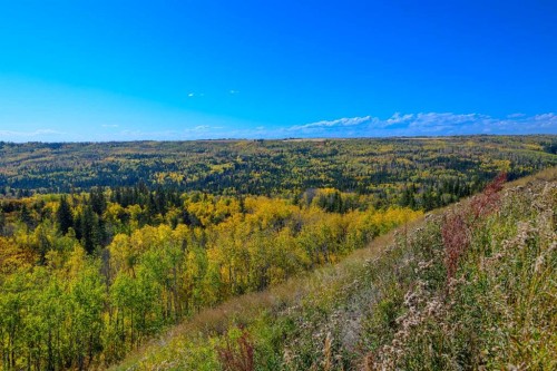814070 50 Range, Rural Fairview No. 136, M.D. Of, AB 