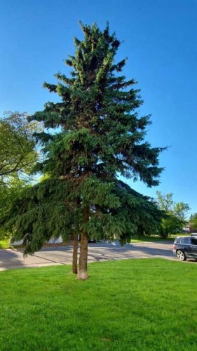 11211 96A Street, Grande Prairie, AB 