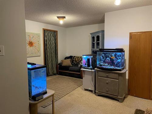 26 Carry Place Se, Medicine Hat, AB - Indoor Photo Showing Living Room