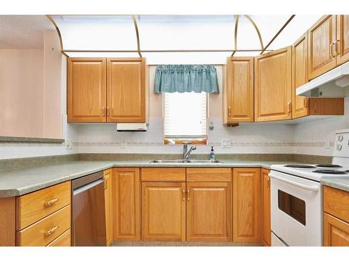 229-1182 Southview Drive Se, Medicine Hat, AB - Indoor Photo Showing Kitchen With Double Sink