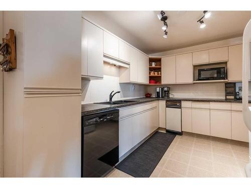 2-1165 16 Street Ne, Medicine Hat, AB - Indoor Photo Showing Kitchen With Double Sink