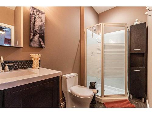 11425 Range Road 53, Rural Cypress County, AB - Indoor Photo Showing Bathroom