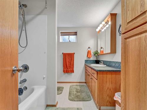 104063 Range Road 111, Bow Island, AB - Indoor Photo Showing Bathroom