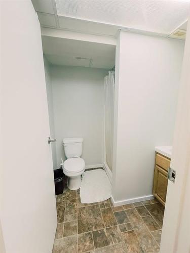 4916A And 4916B 53 Street, Stettler, AB - Indoor Photo Showing Bathroom