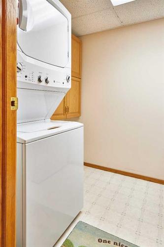 229-1182 Southview Drive Se, Medicine Hat, AB - Indoor Photo Showing Laundry Room