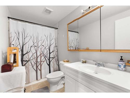 428 6 Street, Suffield, AB - Indoor Photo Showing Bathroom