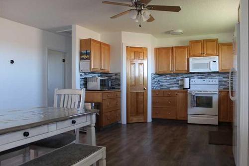 111017 Range Road 103 North, Bow Island, AB - Indoor Photo Showing Kitchen