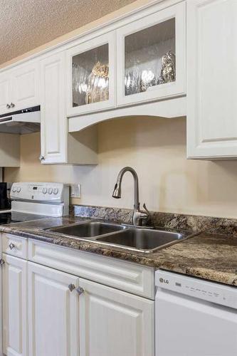 202-252 4 Street Se, Medicine Hat, AB - Indoor Photo Showing Kitchen