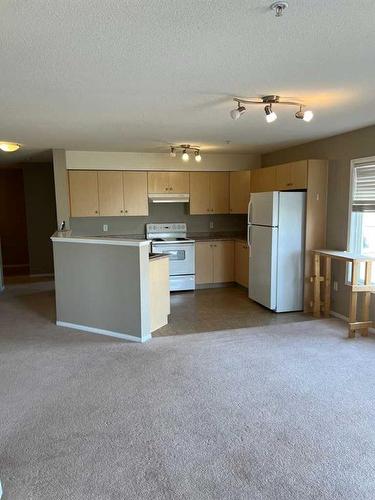 201-1616 Saamis Drive Nw, Medicine Hat, AB - Indoor Photo Showing Kitchen