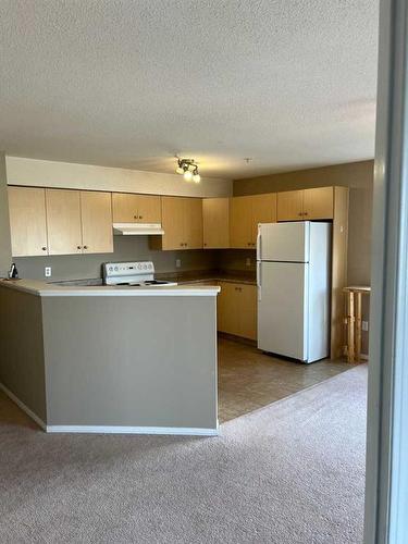 201-1616 Saamis Drive Nw, Medicine Hat, AB - Indoor Photo Showing Kitchen