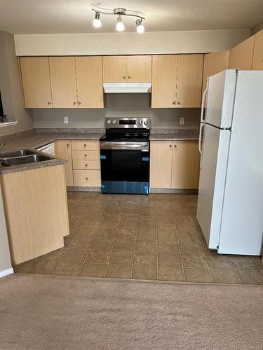 201-1616 Saamis Drive Nw, Medicine Hat, AB - Indoor Photo Showing Kitchen With Double Sink