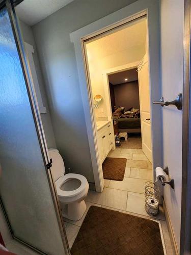 29305 Range Road 41, Oyen, AB - Indoor Photo Showing Bathroom