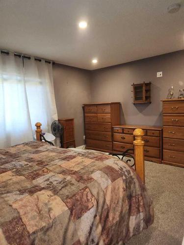 29305 Range Road 41, Oyen, AB - Indoor Photo Showing Bedroom