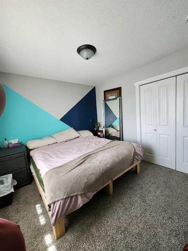 29305 Range Road 41, Oyen, AB - Indoor Photo Showing Bedroom