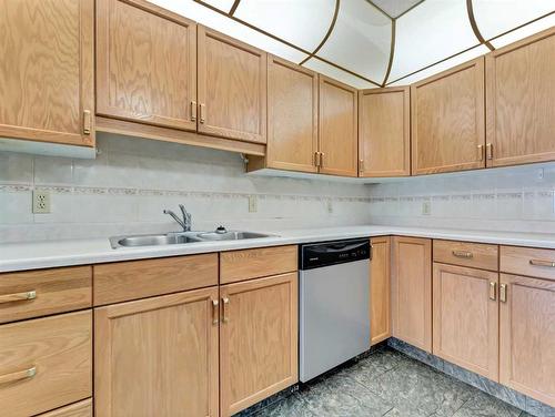 114-3021 13 Avenue Se, Medicine Hat, AB - Indoor Photo Showing Kitchen With Double Sink