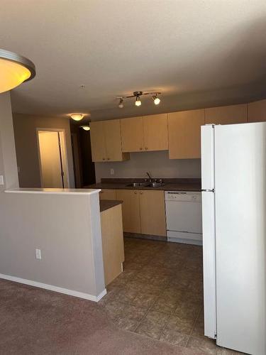 301-1648 Saamis Drive Nw, Medicine Hat, AB - Indoor Photo Showing Kitchen With Double Sink