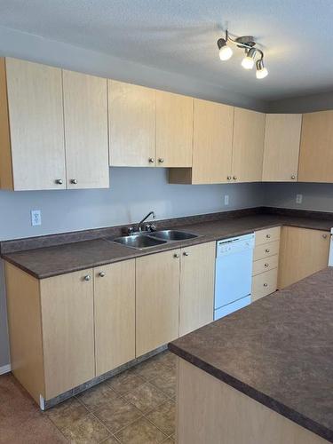 301-1648 Saamis Drive Nw, Medicine Hat, AB - Indoor Photo Showing Kitchen With Double Sink