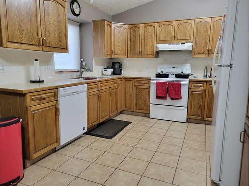 295 Sprague Way Se, Medicine Hat, AB - Indoor Photo Showing Kitchen