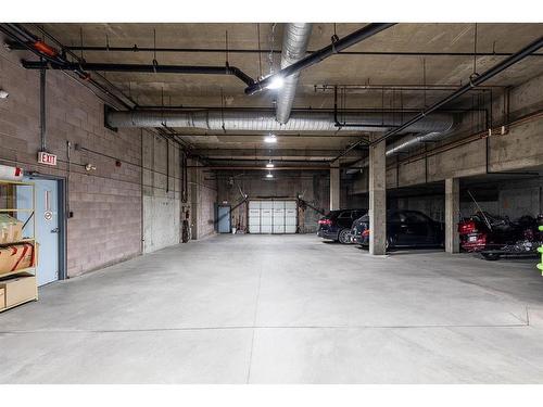 304-252 4 Street Se, Medicine Hat, AB - Indoor Photo Showing Garage