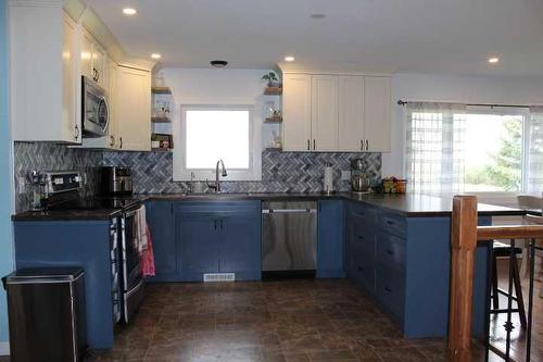 115054 103 Range Road North, Bow Island, AB - Indoor Photo Showing Kitchen