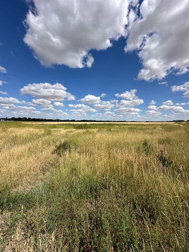 Lot 7-12003 Range Road 60A, Rural Cypress County, AB 