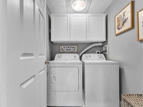 105-194 Sunrise Circle Sw, Medicine Hat, AB - Indoor Photo Showing Laundry Room