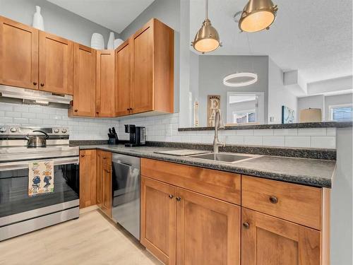 105-194 Sunrise Circle Sw, Medicine Hat, AB - Indoor Photo Showing Kitchen