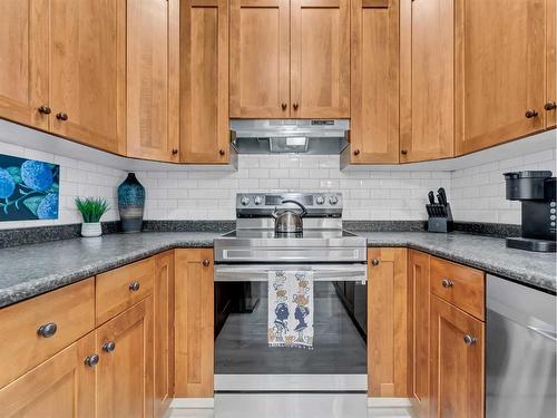 105-194 Sunrise Circle Sw, Medicine Hat, AB - Indoor Photo Showing Kitchen