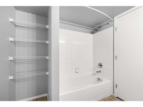 302-1632 Saamis Drive Nw, Medicine Hat, AB - Indoor Photo Showing Bathroom