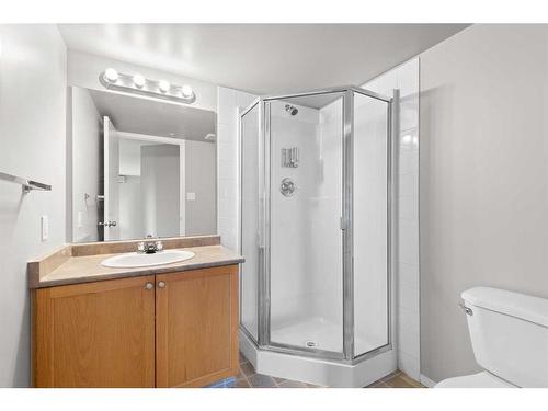 302-1632 Saamis Drive Nw, Medicine Hat, AB - Indoor Photo Showing Bathroom