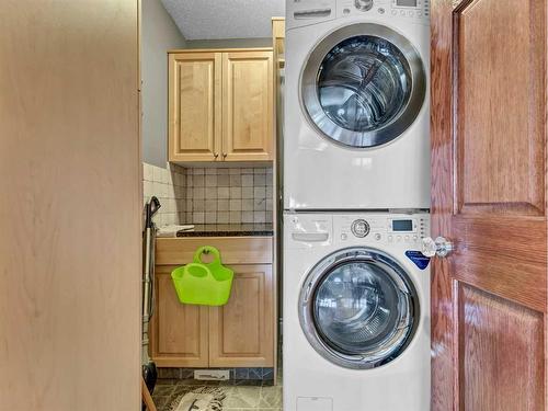 770 Eagle Ridge Drive, Dunmore, AB - Indoor Photo Showing Laundry Room