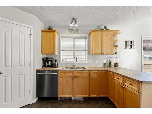 1223 115 Street Sw, Edmonton, AB - Indoor Photo Showing Kitchen With Double Sink