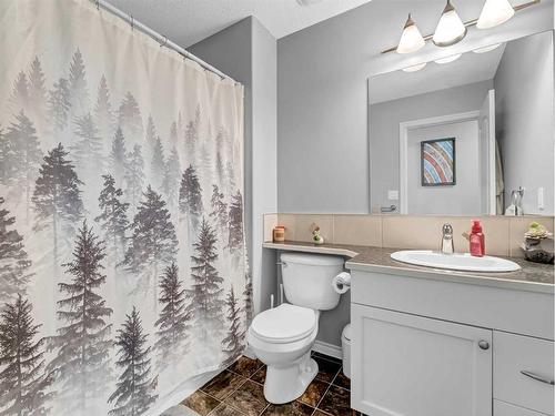 48 Vista Road Se, Medicine Hat, AB - Indoor Photo Showing Bathroom