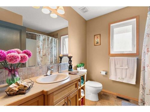 12 Vista Court Se, Medicine Hat, AB - Indoor Photo Showing Bathroom