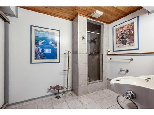 242 Carry Drive Se, Medicine Hat, AB - Indoor Photo Showing Bathroom