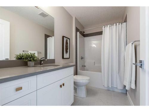 1 Hamptons Gate Se, Medicine Hat, AB - Indoor Photo Showing Bathroom