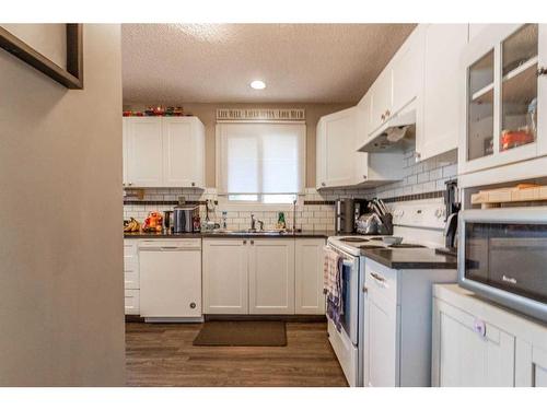 31 Rae Court Se, Medicine Hat, AB - Indoor Photo Showing Kitchen With Double Sink