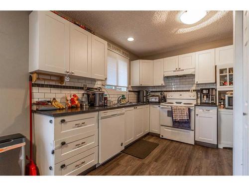 31 Rae Court Se, Medicine Hat, AB - Indoor Photo Showing Kitchen With Double Sink