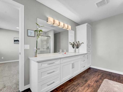 11016 Range Road 34, Rural Cypress County, AB - Indoor Photo Showing Bathroom