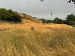 646 10 Street SE Medicine Hat, AB T1A 1H5