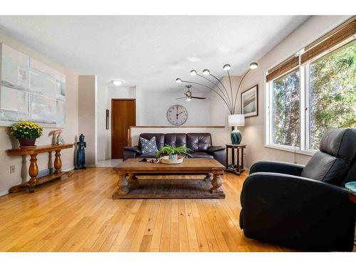 242 Carry Drive Se, Medicine Hat, AB - Indoor Photo Showing Living Room