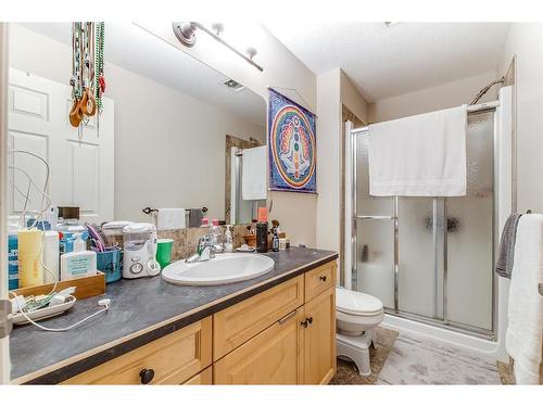 251 Hamptons Way Se, Medicine Hat, AB - Indoor Photo Showing Bathroom