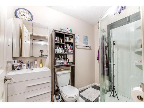 251 Hamptons Way Se, Medicine Hat, AB - Indoor Photo Showing Bathroom