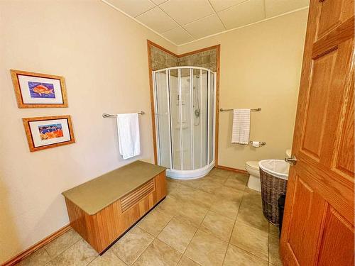 39577 Range Road 20-1, Rural Stettler No. 6, County Of, AB - Indoor Photo Showing Bathroom