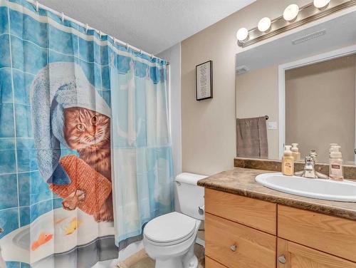 1-102 Sunwood Crescent Sw, Medicine Hat, AB - Indoor Photo Showing Bathroom