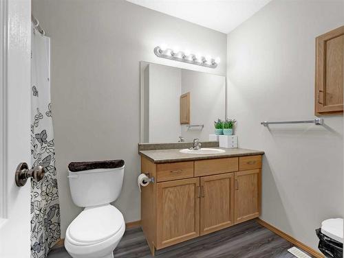 543 Stark Way Se, Medicine Hat, AB - Indoor Photo Showing Bathroom