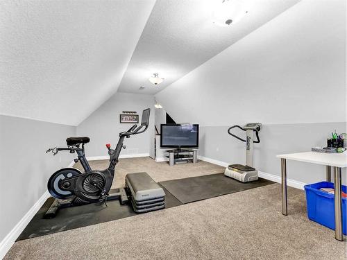 20 Terrace Circle Ne, Medicine Hat, AB - Indoor Photo Showing Gym Room