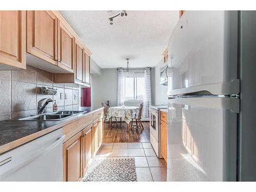 17-512 Mccutcheon Drive Nw, Medicine Hat, AB - Indoor Photo Showing Kitchen With Double Sink