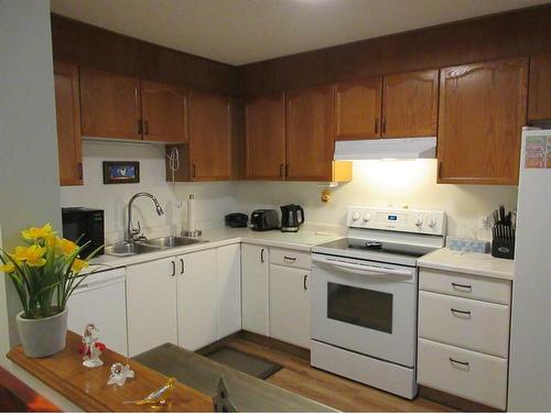 128-1480 Southview Drive Se, Medicine Hat, AB - Indoor Photo Showing Kitchen With Double Sink